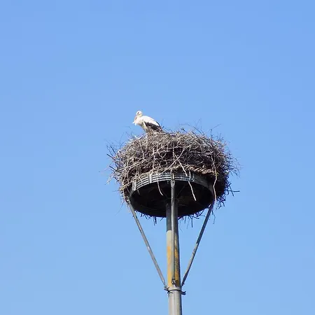 Zur Alten Schule Pritzwalk